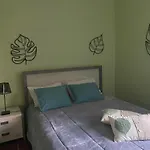 Casa Riotempo + Jangada 托马尔