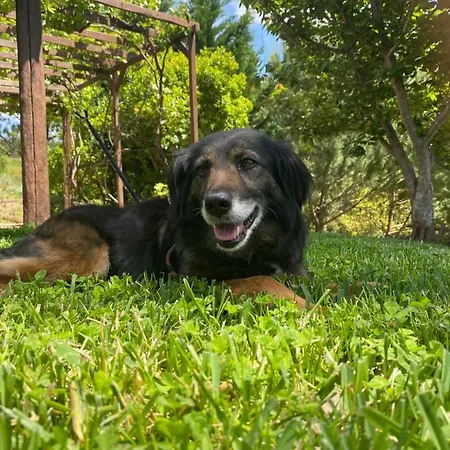 Casa Riotempo + Jangada Ferienhaus