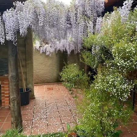 Casa Riotempo + Jangada *