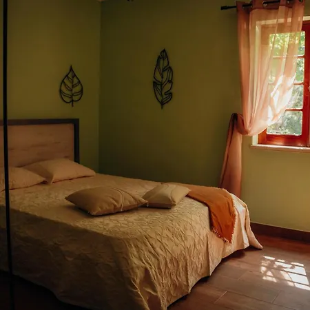 Casa Riotempo + Jangada