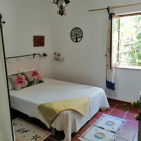 Casa Riotempo + Jangada Tomar