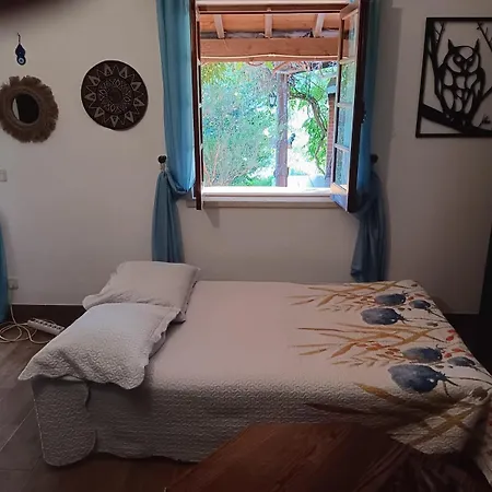 Casa Riotempo + Jangada *