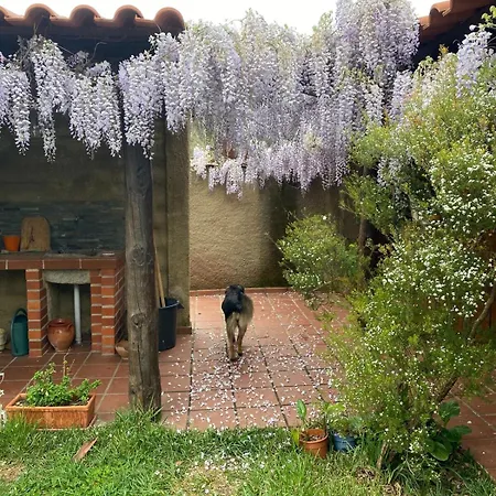 Casa vacanze Casa Riotempo + Jangada