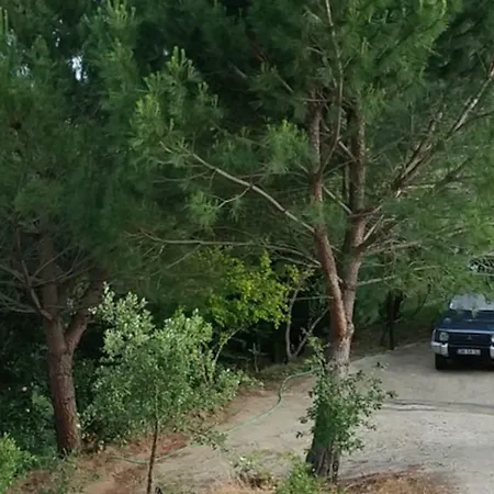 Casa Riotempo + Jangada Сasa de vacaciones Tomar