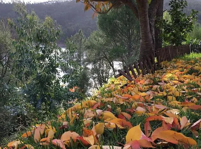 Casa Riotempo + Jangada 別荘 トマール