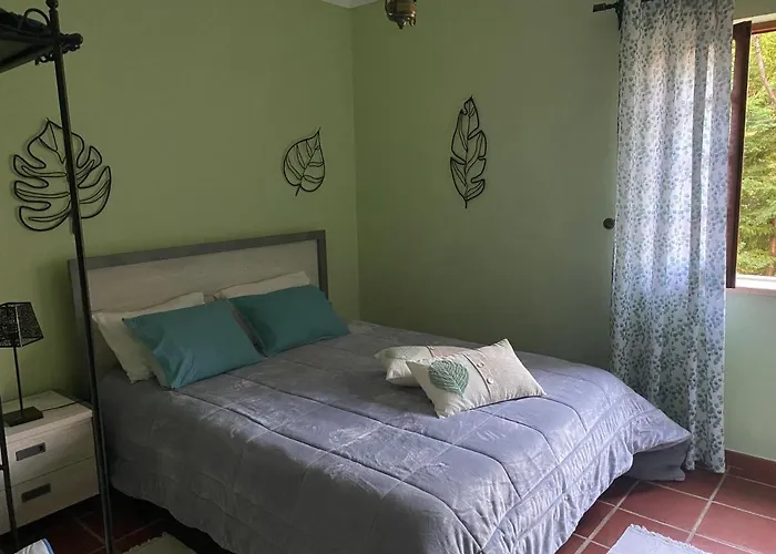 Casa Riotempo + Jangada Tomar