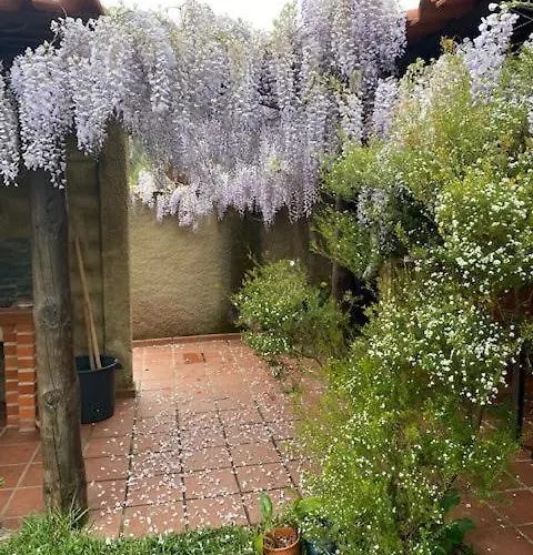 Casa Riotempo + Jangada *