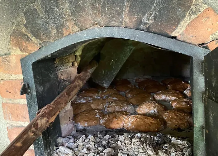 Casa Riotempo + Jangada * Tomar