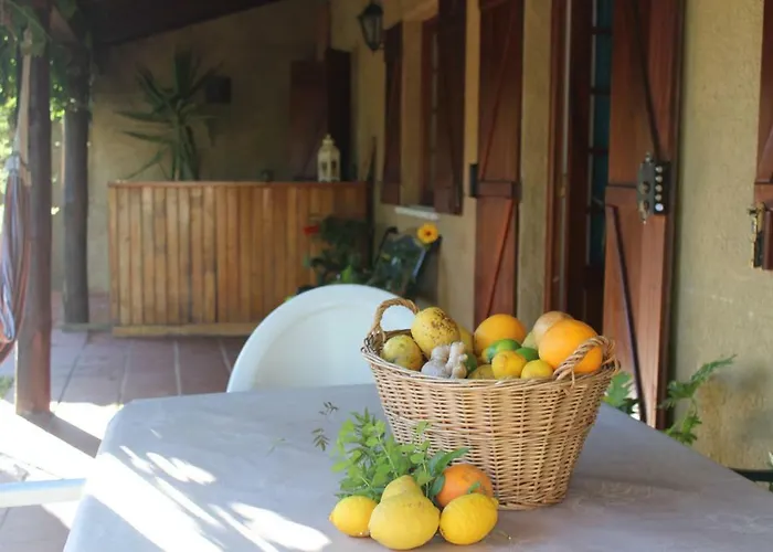 Casa Riotempo + Jangada * Tomar